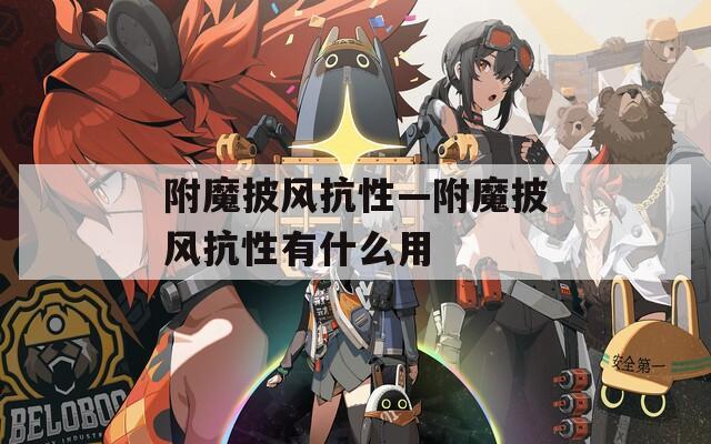 附魔披風(fēng)抗性—附魔披風(fēng)抗性有什么用