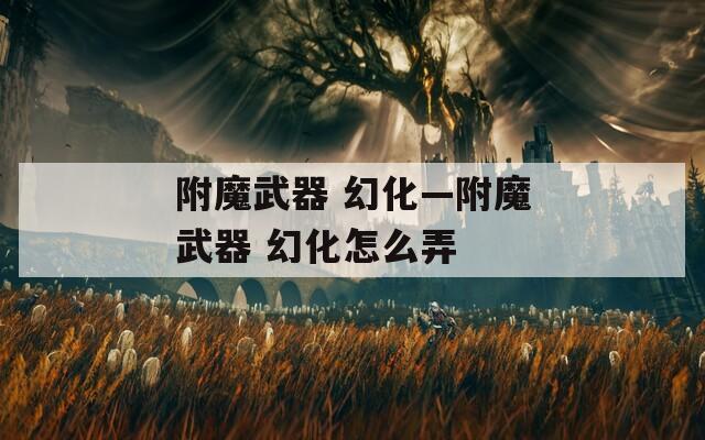 附魔武器 幻化—附魔武器 幻化怎么弄