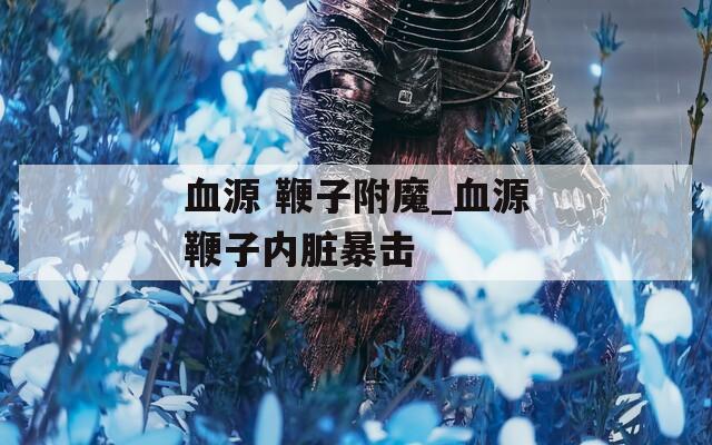 血源 鞭子附魔_血源鞭子內(nèi)臟暴擊