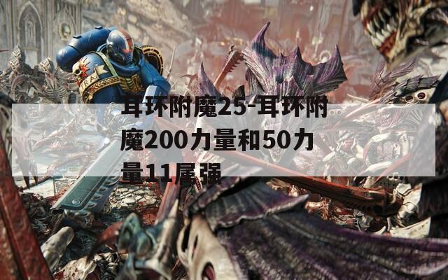 耳環(huán)附魔25-耳環(huán)附魔200力量和50力量11屬強