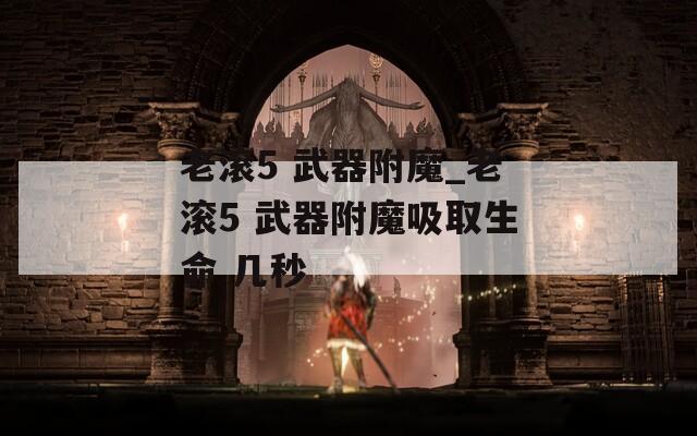 老滾5 武器附魔_老滾5 武器附魔吸取生命 幾秒