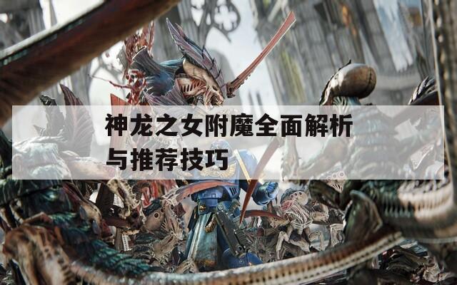 神龍之女附魔全面解析與推薦技巧