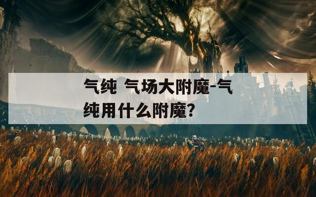 氣純 氣場大附魔-氣純用什么附魔？