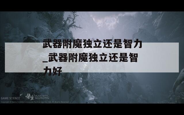 武器附魔獨立還是智力_武器附魔獨立還是智力好