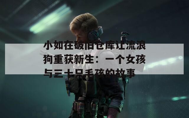 小如在破舊倉(cāng)庫(kù)讓流浪狗重獲新生：一個(gè)女孩與三十只毛孩的故事