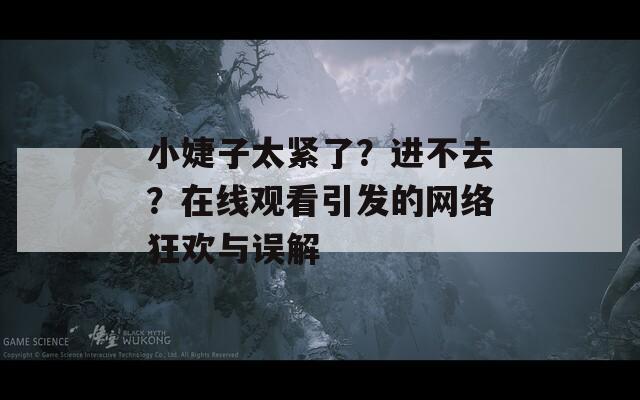 小婕子太緊了？進(jìn)不去？在線觀看引發(fā)的網(wǎng)絡(luò)狂歡與誤解