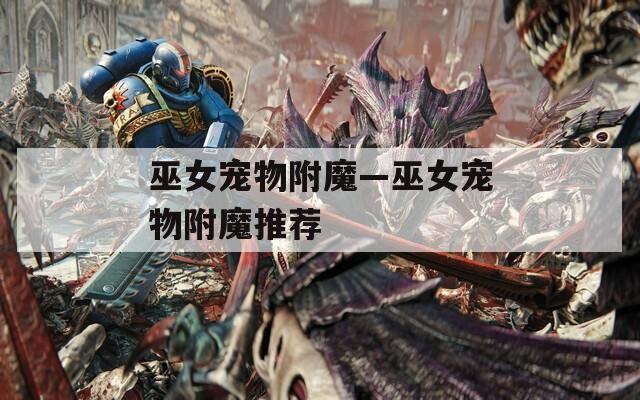 巫女寵物附魔—巫女寵物附魔推薦