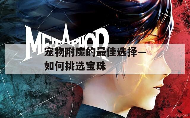 寵物附魔的最佳選擇—如何挑選寶珠