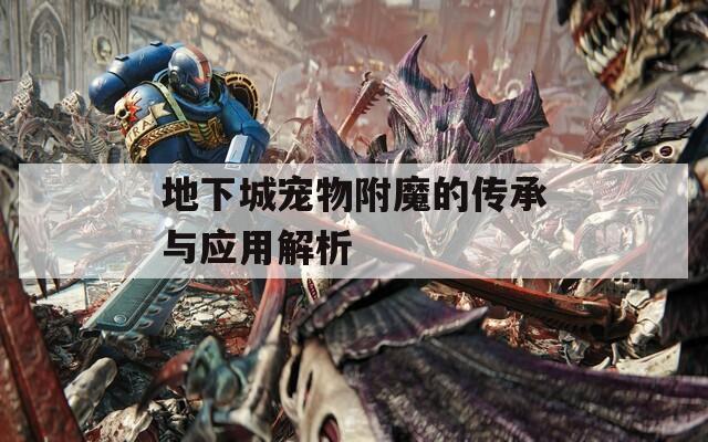 地下城寵物附魔的傳承與應(yīng)用解析