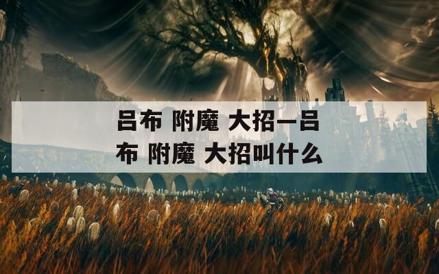 呂布 附魔 大招—呂布 附魔 大招叫什么