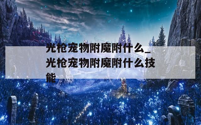 光槍寵物附魔附什么_光槍寵物附魔附什么技能