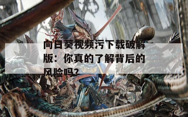 向日葵視頻污下載破解版：你真的了解背后的風險嗎？