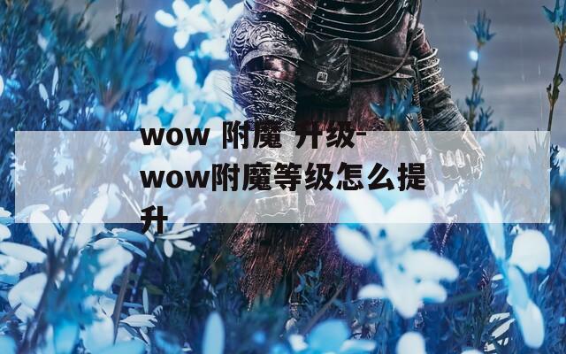 wow 附魔 升級-wow附魔等級怎么提升