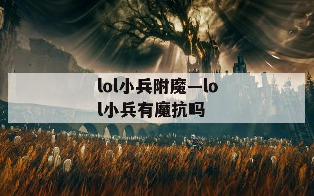 lol小兵附魔—lol小兵有魔抗嗎