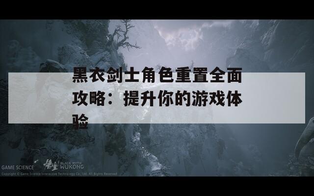 黑衣劍士角色重置全面攻略：提升你的游戲體驗(yàn)