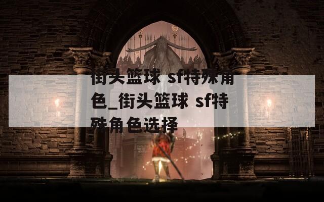 街頭籃球 sf特殊角色_街頭籃球 sf特殊角色選擇
