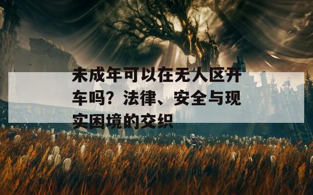 未成年可以在無人區(qū)開車嗎？法律、安全與現(xiàn)實困境的交織
