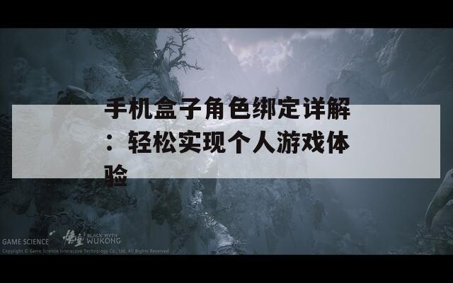 手機(jī)盒子角色綁定詳解：輕松實(shí)現(xiàn)個(gè)人游戲體驗(yàn)