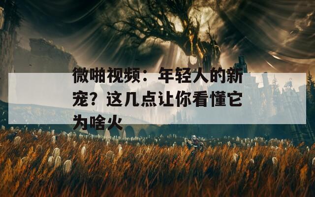微啪視頻：年輕人的新寵？這幾點(diǎn)讓你看懂它為啥火