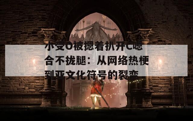 小受O被摁著扒開C嗯合不攏腿：從網(wǎng)絡(luò)熱梗到亞文化符號(hào)的裂變