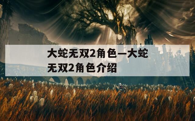 大蛇無(wú)雙2角色—大蛇無(wú)雙2角色介紹