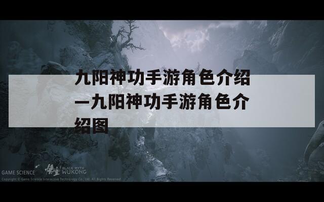 九陽(yáng)神功手游角色介紹—九陽(yáng)神功手游角色介紹圖