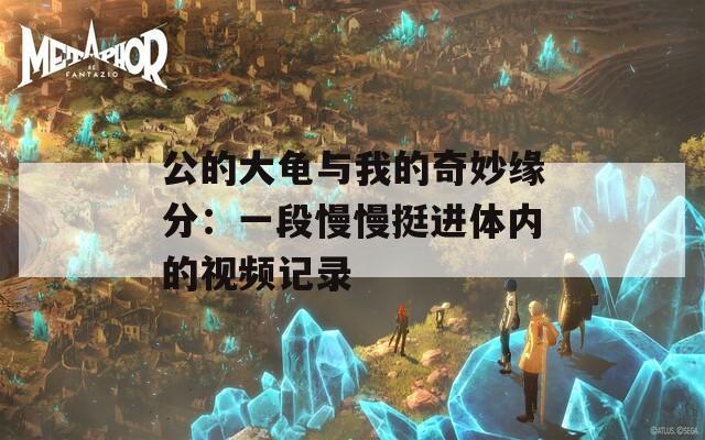 公的大龜與我的奇妙緣分：一段慢慢挺進(jìn)體內(nèi)的視頻記錄